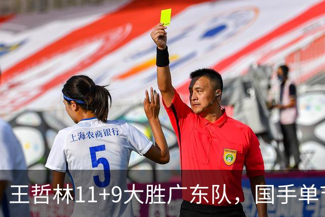 王哲林11+9大胜广东队，国手单节5记三分，核心外援12中1